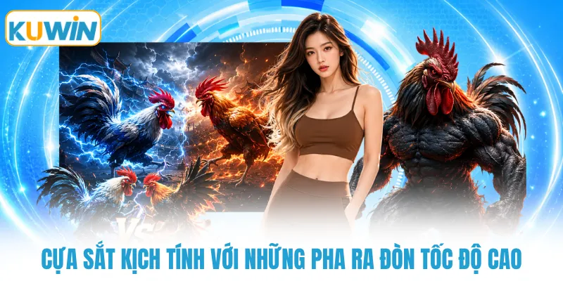 Cựa sắt kịch tính với những pha ra đòn tốc độ cao